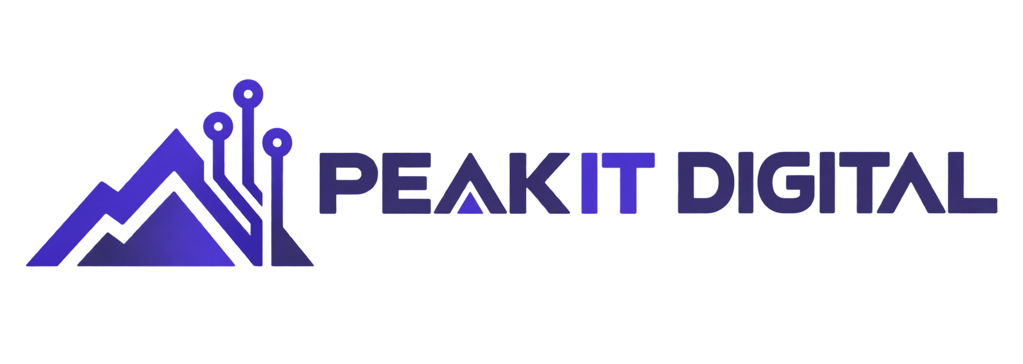 Peak-IT-Degital-log